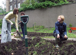 Ellie digging and Emily planting potatoes in trenches