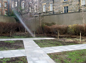 The walled Persevere Garden with it's newly planted fruit trees