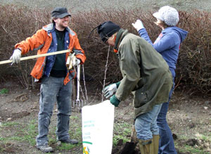 Volunteers share a joke as a tree is planted