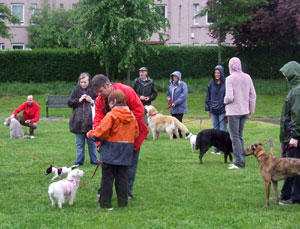 Dogs and owners in the summer rain that fell on the Dalmeny Park Dog Show