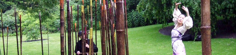 Chang Zhang approaches the Natural Progression installation