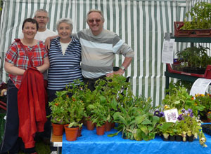 Two men and two women standing behind their  potted  plants, smiling