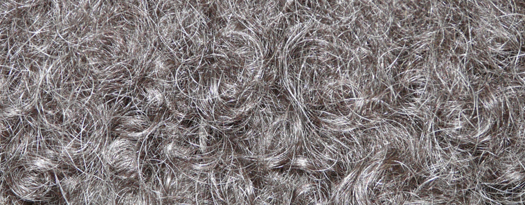 The hair of Dave from above